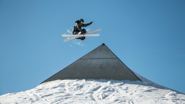 园林绿化花草修剪