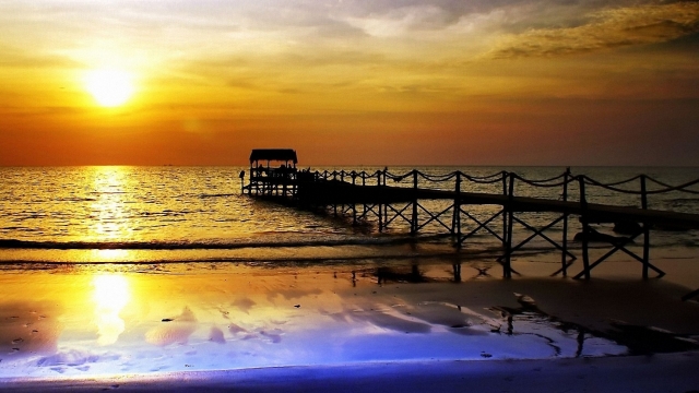 园林绿化紫玉兰