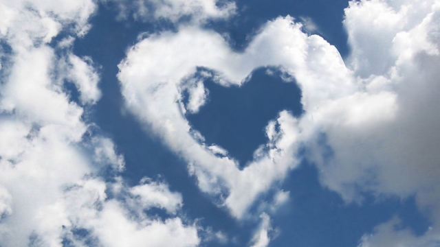 园林绿化的种植种类