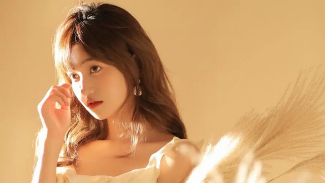 九游会：园林绿化一般用什么树种