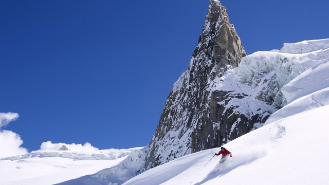 九游会：园林绿化开发