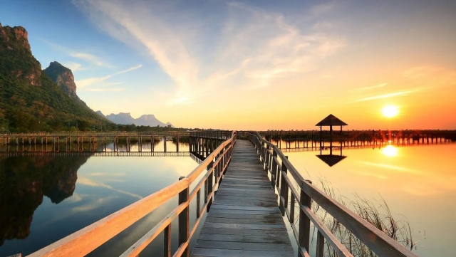 园林绿化短期长期