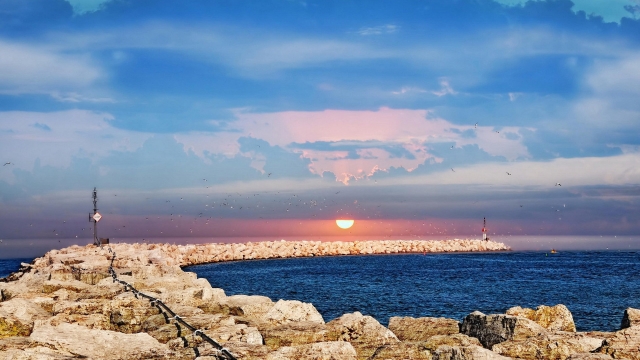 九游会园林：园林绿化为什么有虚线