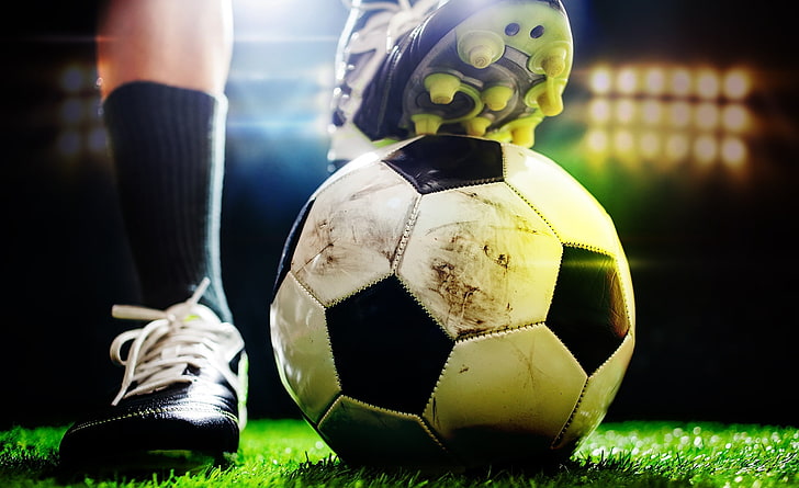 九游会国际：园林绿化有害生物绿色防控