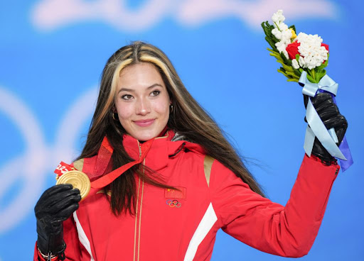 园林绿化的绿植是什么